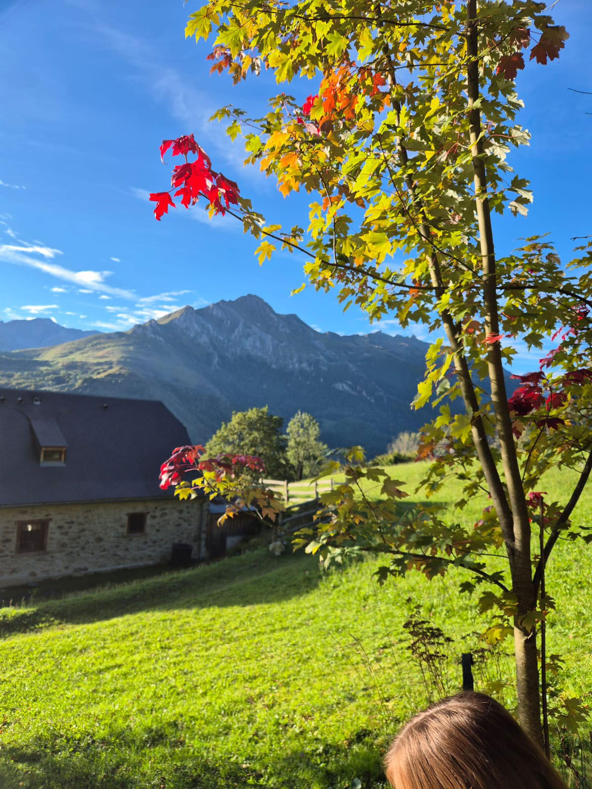 Les dispos d’automne